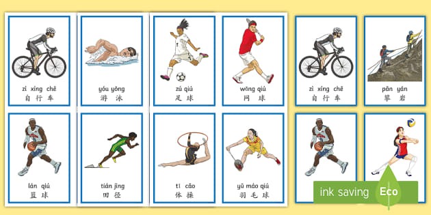 足球转会市场最新动态及趋势