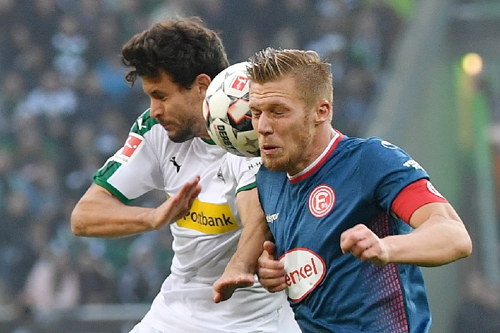 签约新球员 签约新球员