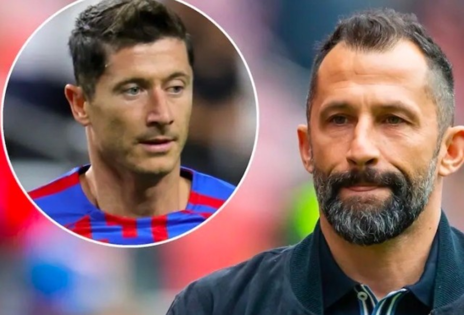 这意味着快 这意味着快