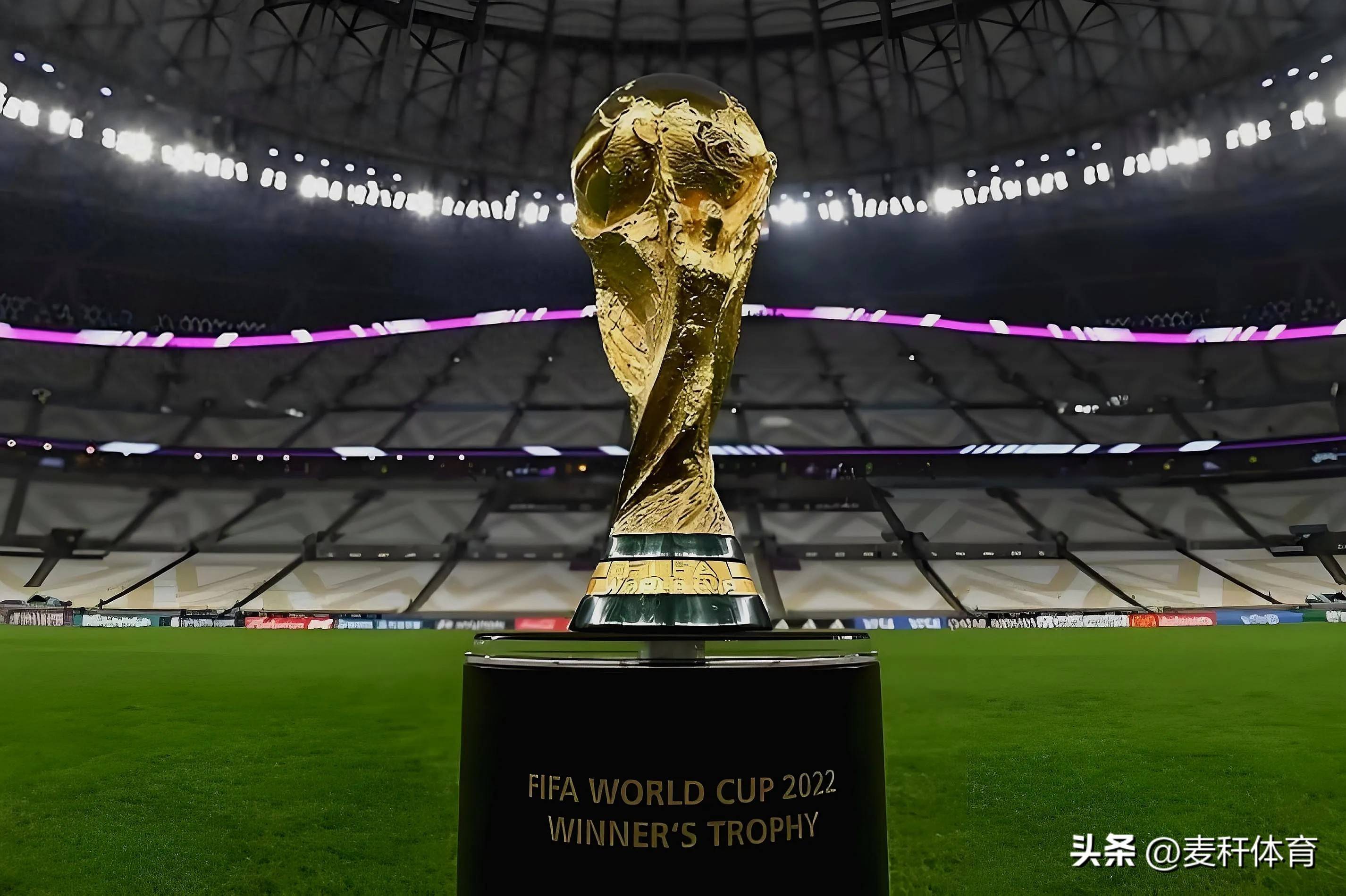 我可以帮你 我可以帮你