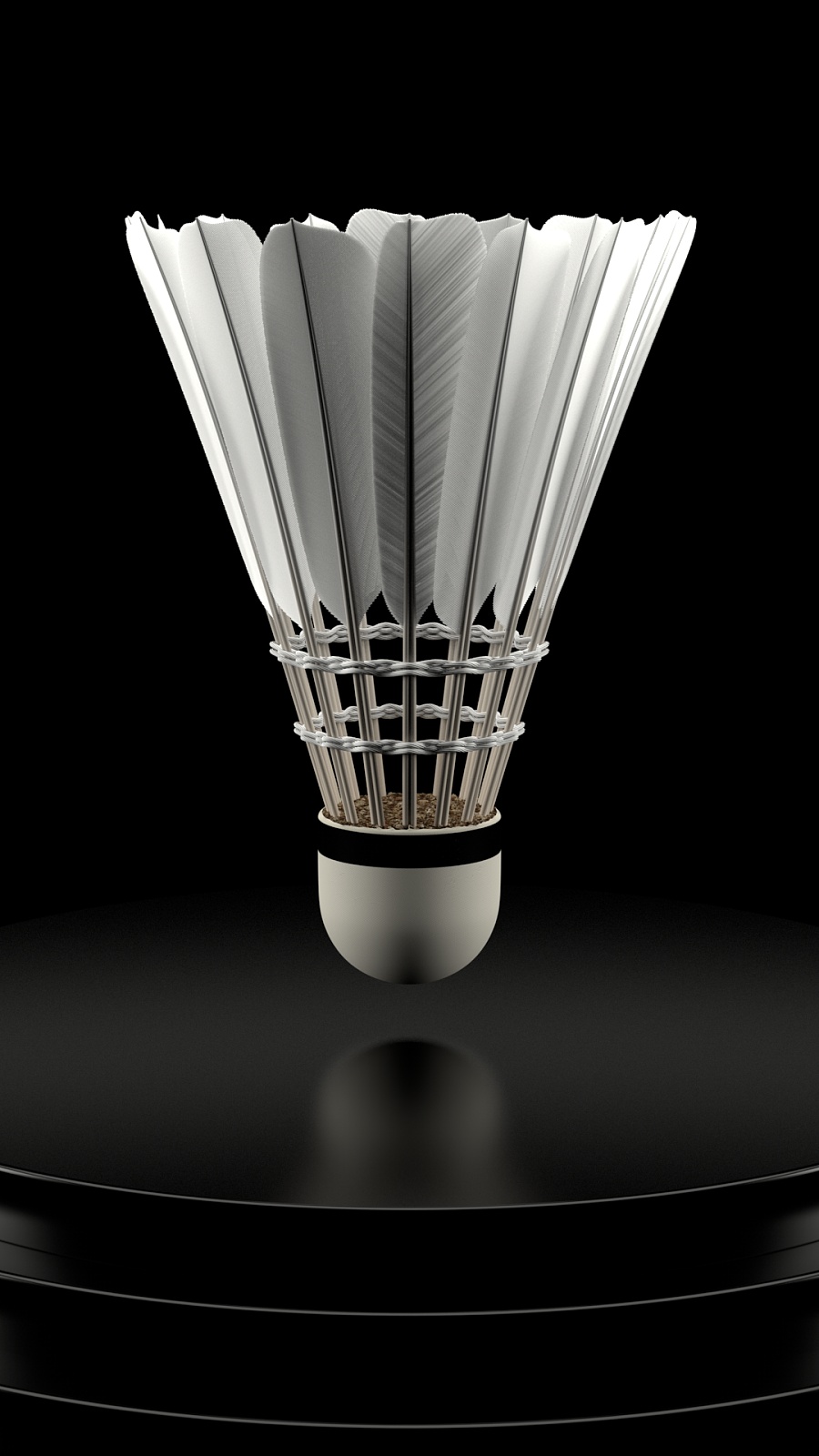 也会暴露乃 也会暴露乃